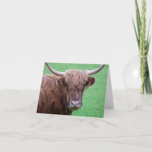 Highland Cow Card Feiertagskarte