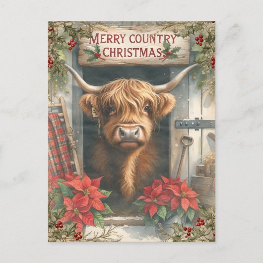 Highland Cow Christmas Postkarte (Vorderseite)