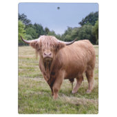 Highland Cow Clipboard Klemmbrett (Rückseite)