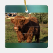 Highland Cow Foto Keramikornament (Vorderseite)