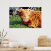 Highland Cow Foto Poster (Küche)