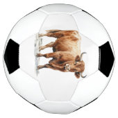 Highland Cow Fußball (Gedreht)