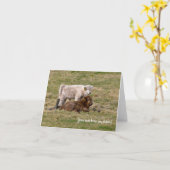 Highland Cow Greeting card Karte (Gelbe Blume)