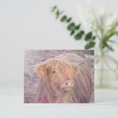 Highland Cow, Highland Cattle Postkarte (Stehend Vorderseite)