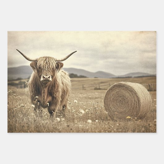 Highland Cow in Hay Field Decoupage Geschenkpapier Set (Vorderseite 3)
