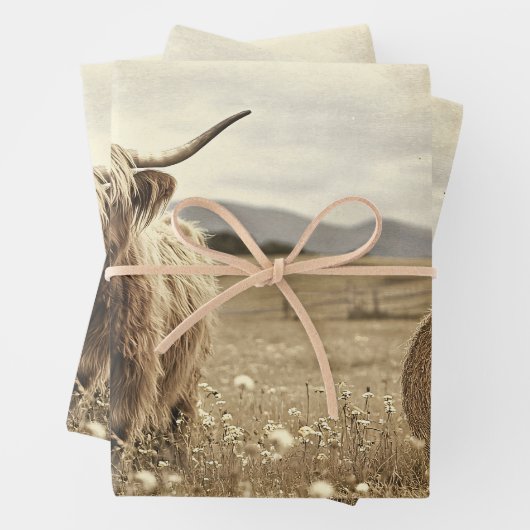 Highland Cow in Hay Field Decoupage Geschenkpapier Set (Beispiel)
