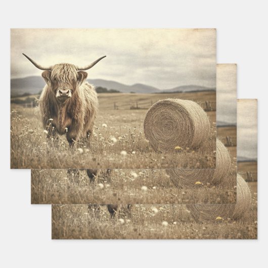 Highland Cow in Hay Field Decoupage Geschenkpapier Set (Set)
