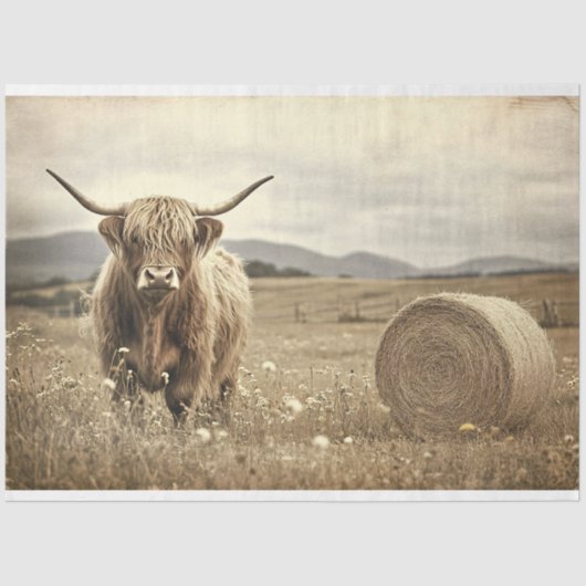 Highland Cow in Hay Field Decoupage Seidenpapier (Vorderseite)