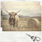 Highland Cow in Hay Field Decoupage Seidenpapier