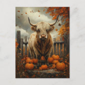 Highland Cow in Pumpkin Patch Postkarte (Vorderseite)