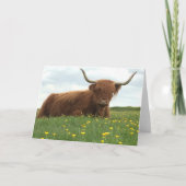 Highland Cow Karte (Vorderseite)