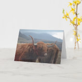 Highland Cow Karte (Gelbe Blume)