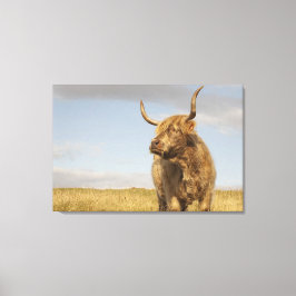 Highland Cow Leinwanddruck