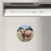 Highland Cow Magnet (In Situ (Geschirrspüler))
