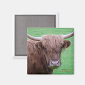 Highland Cow Magnet (Vorderseite/Rückseite)