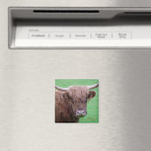 Highland Cow Magnet (In Situ (Geschirrspüler))