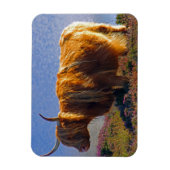 Highland Cow Magnet (Vertikal)