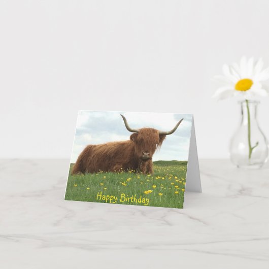 Highland Cow Meadow Birthday Card Karte (Kleines Gewächs)