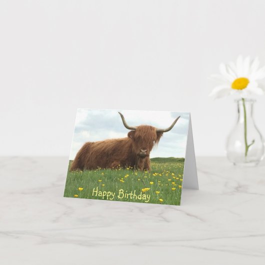 Highland Cow Meadow Birthday Card Karte (Kleines Gewächs)