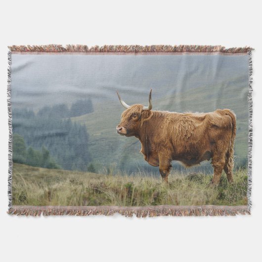 Highland Cow Misty Morning Decke (Vorderseite)