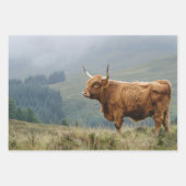Highland Cow Misty Morning Decoupage Geschenkpapier Set (Vorderseite)