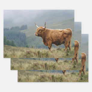 Highland Cow Misty Morning Decoupage Geschenkpapier Set