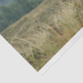 Highland Cow Misty Morning Decoupage Seidenpapier (Ausschnitt)