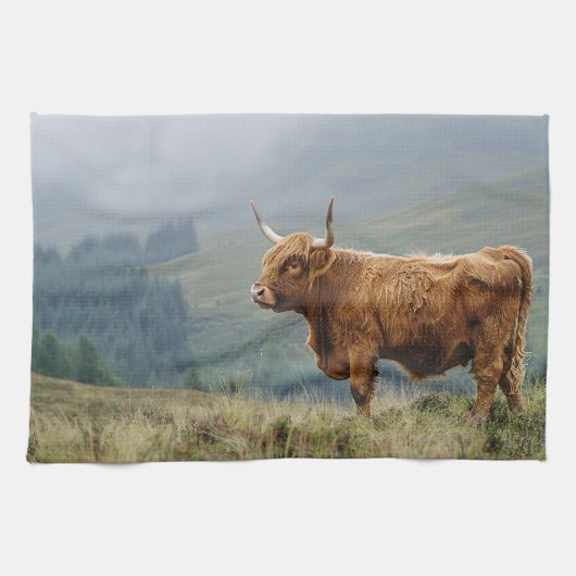 Highland Cow Misty Morning Geschirrtuch (Horizontal)