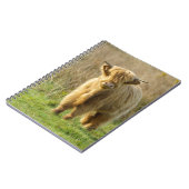 Highland Cow Notizblock (Linke Seite)