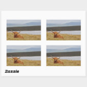 Highland Cow Orkney Sticker (Blatt)