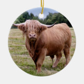 Highland Cow Ornament (Vorne)