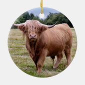 Highland Cow Ornament (Hinten)