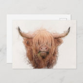 Highland Cow Portrait Feiertagspostkarte (Vorne/Hinten)
