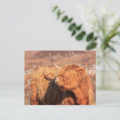 Highland Cow Postcard Postkarte (Stehend Vorderseite)