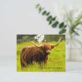 Highland Cow Postcard Postkarte (Stehend Vorderseite)