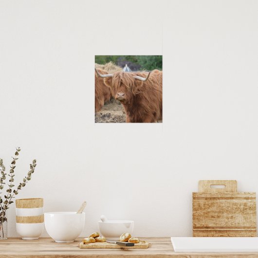 Highland Cow Poster (Küche)