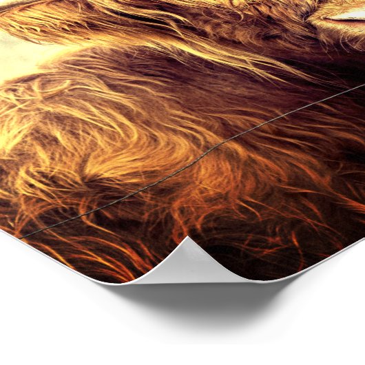 Highland Cow Poster (Ecke)