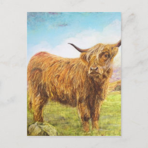 Highland Cow Postkarte