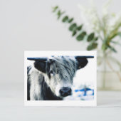Highland Cow Postkarte (Stehend Vorderseite)