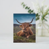 Highland Cow Postkarte (Stehend Vorderseite)