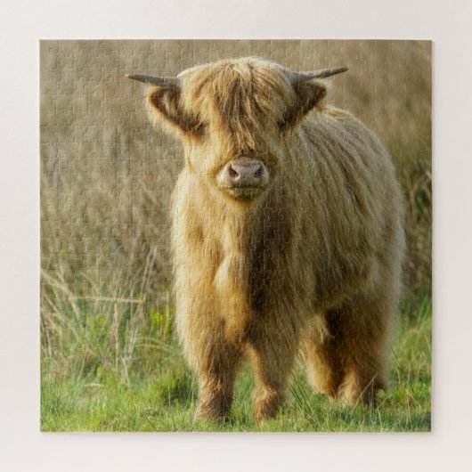 Highland Cow Puzzle (Vertikal)