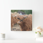 Highland Cow Quadratische Wanduhr (Zuhause)
