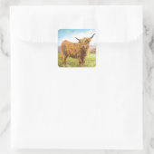 Highland Cow Quadratischer Aufkleber (Tasche)