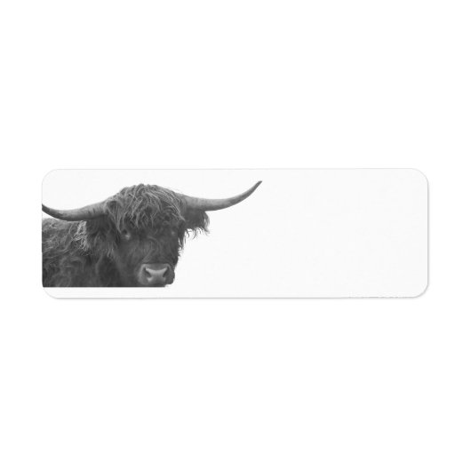 Highland Cow Return Address Labels (Vorne)