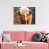 Highland Cow Schottland Leinwanddruck (Insitu (Wohnzimmer))
