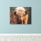 Highland Cow Schottland Leinwanddruck (Insitu (Holzboden))