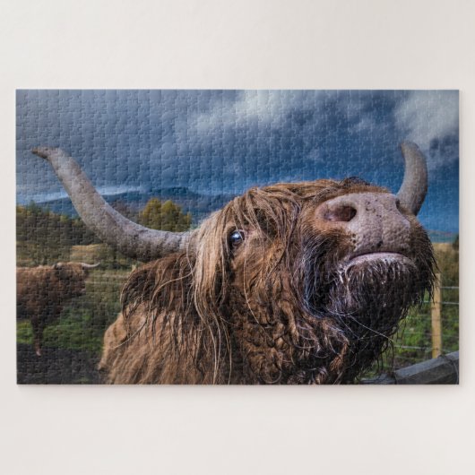Highland Cow, Schottland Puzzle (Horizontal)