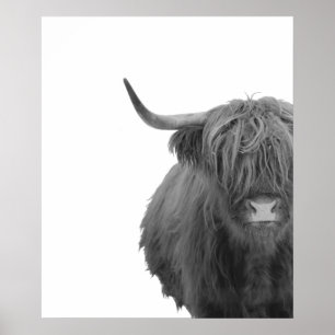 Highland Cow Schottland Rustikal Schwarz Weiß Post Poster