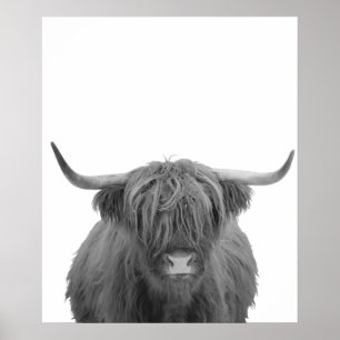 Highland Cow Schottland Rustikal Schwarz-weiß Poster