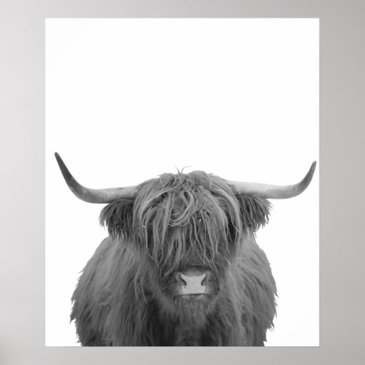 Highland Cow Schottland Rustikal Schwarz-weiß Poster (Vorne)